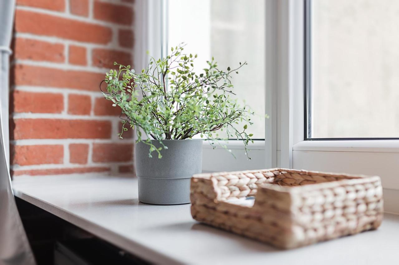 Right In The Heart Of Wroclaw Apartment Exterior foto